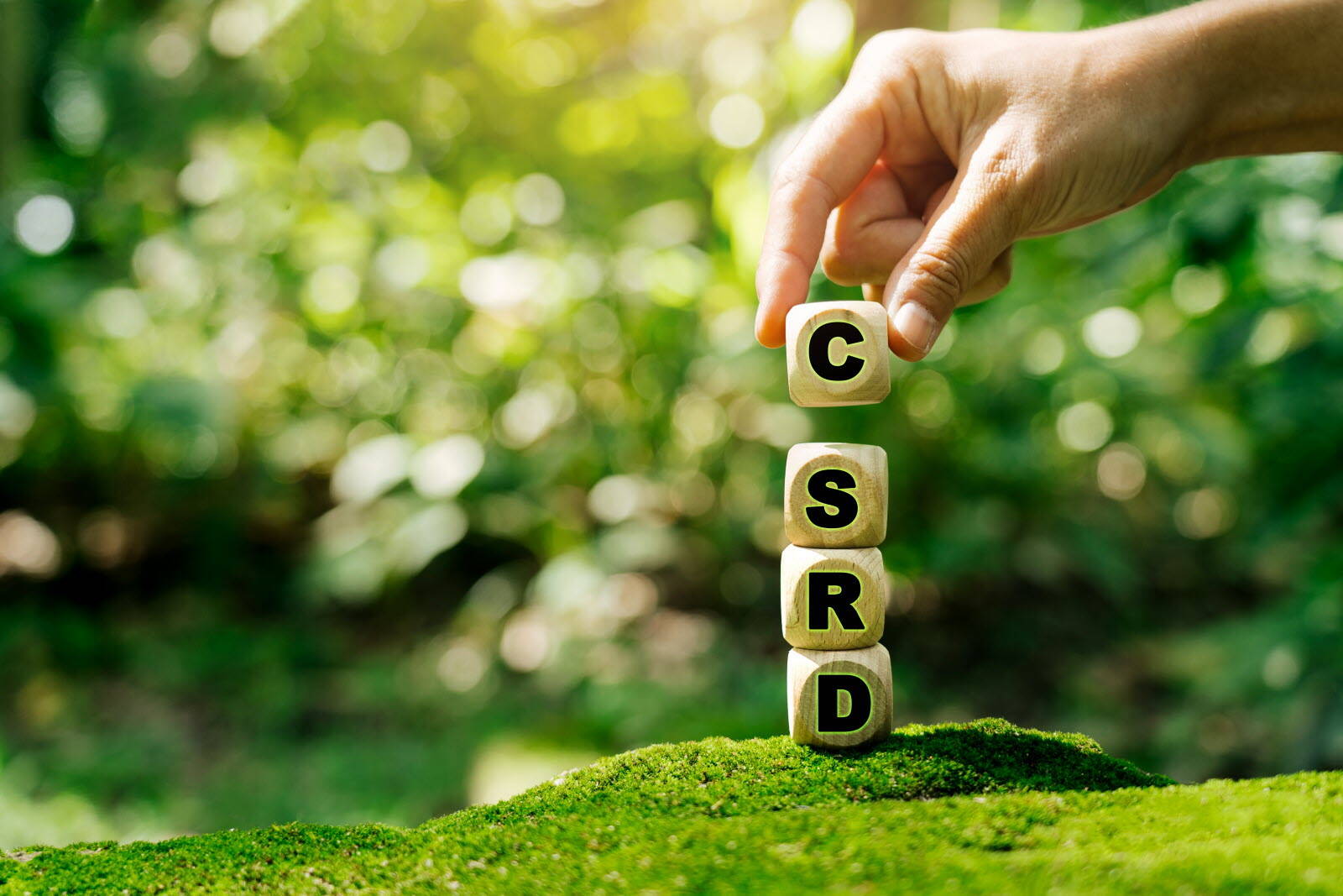 corporate-sustainability-reporting-directive-csrd-quel-outil-choisir-pour-remplir-ses-obligations-de-reporting