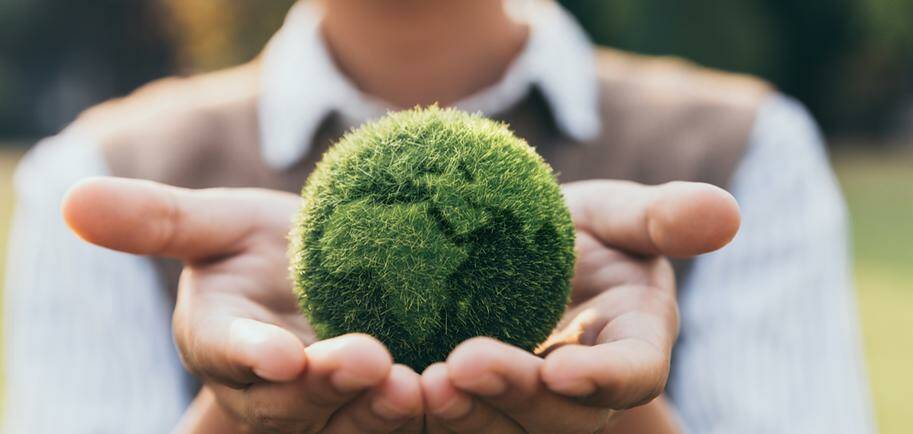 transition-ecologique-identifier-les-competences-vertes-au-sein-de-votre-entreprise